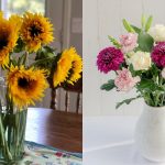 5 Jenis Bunga yang Melambangkan Kebahagiaan untuk Dekorasi Rumah