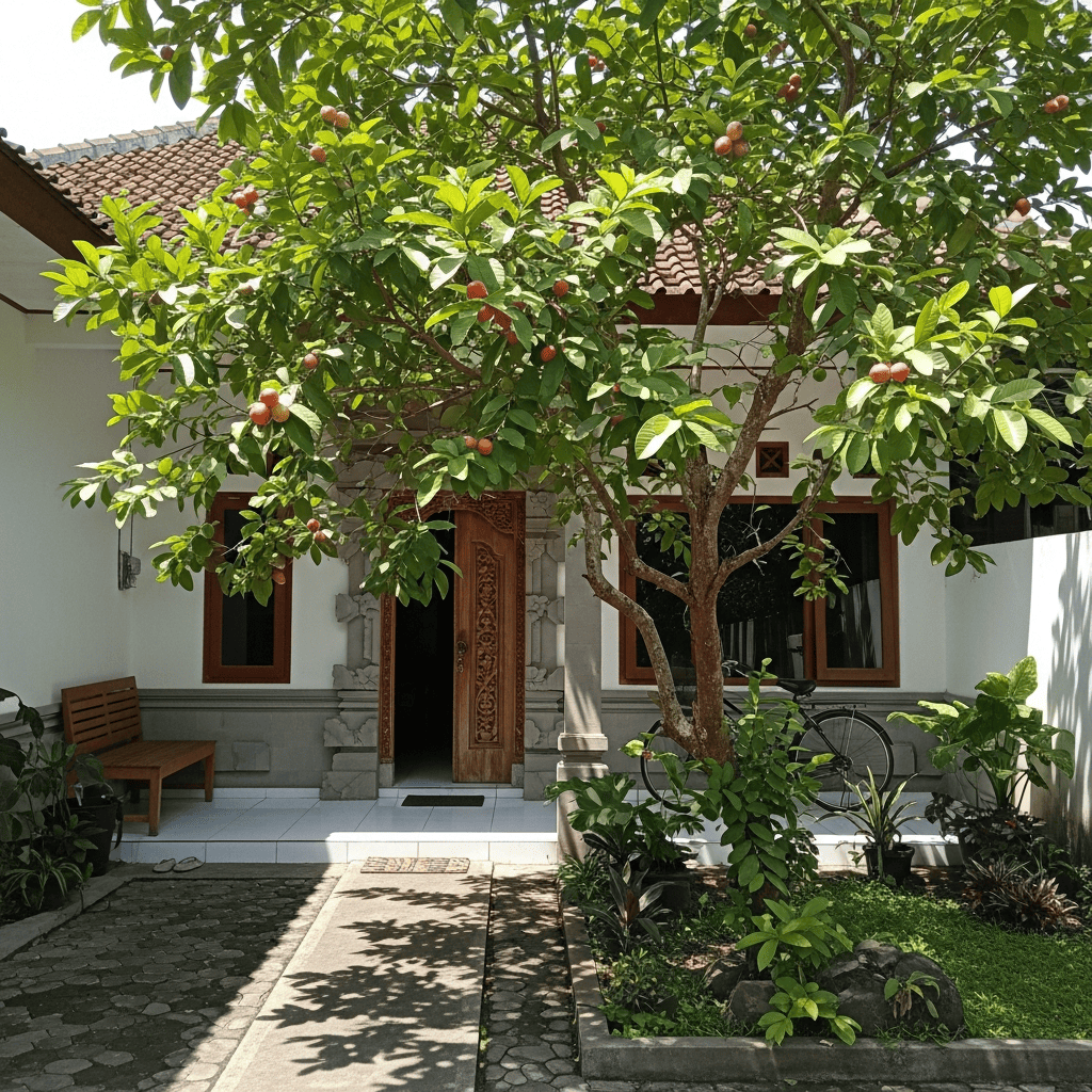 pohon jambu air cocok di depan rumah pohon jambu air cocok di depan rumah