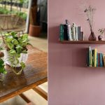 6 Jenis Tanaman Hias Meja untuk Mempercantik Rumah