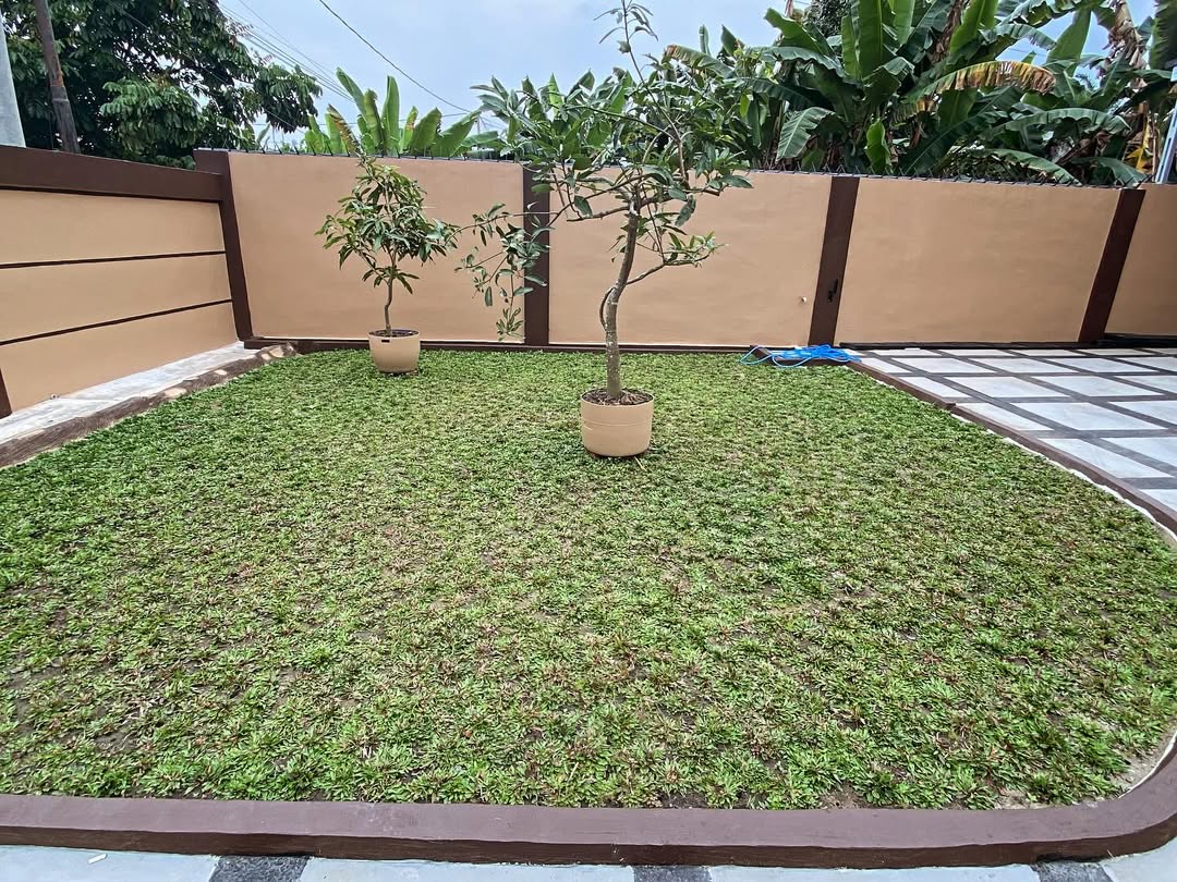 tanaman penyerap air banjir