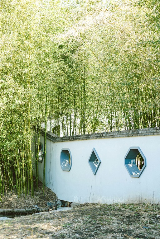 tanaman penyerap air banjir