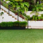 7 Tanaman Penyerap Air Banjir yang Efektif untuk Mengurangi Genangan di Rumah