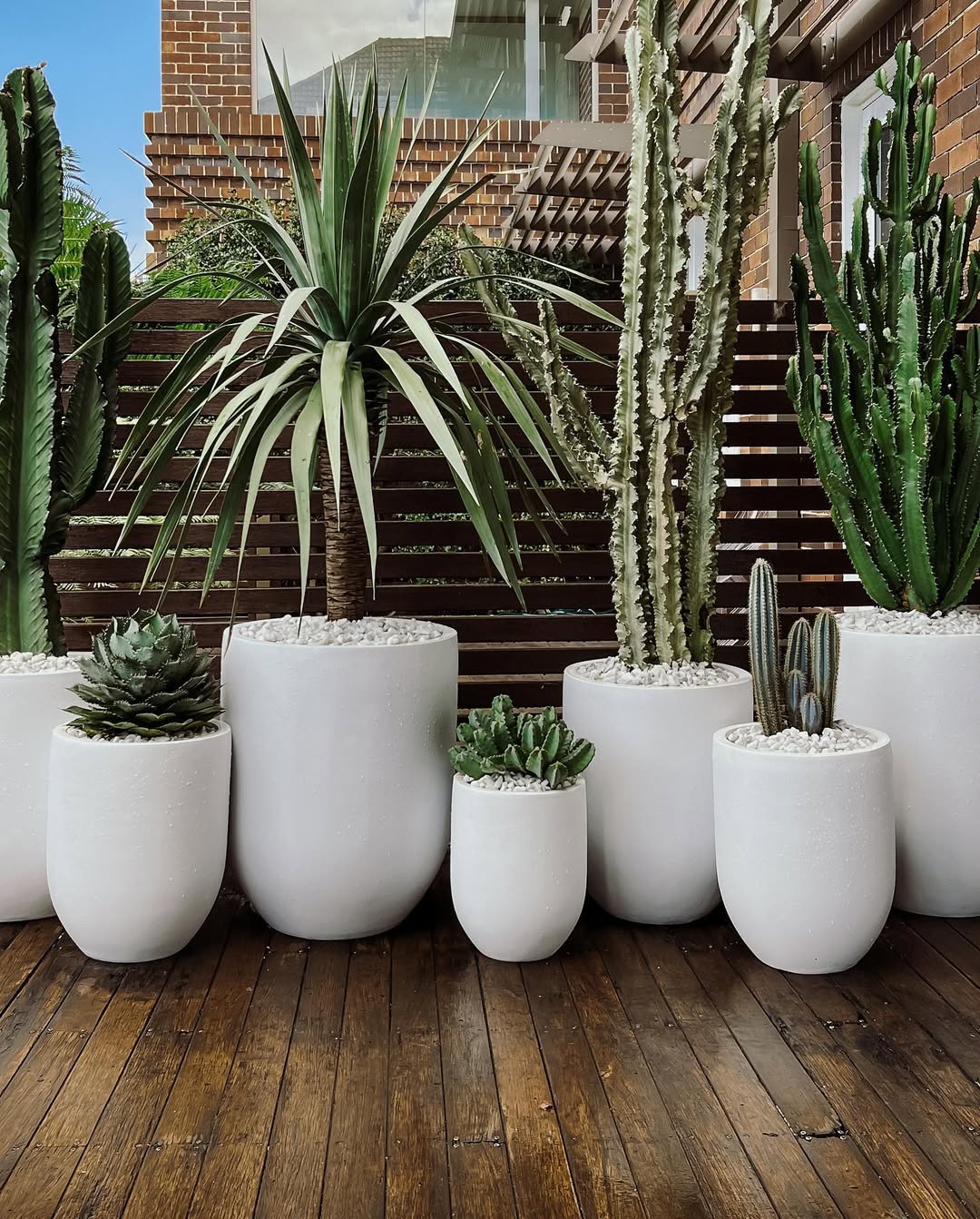 tanaman balkon rumah