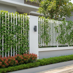 7 Tanaman Hias untuk Pagar Rumah Minimalis, Bikin Hunian Lebih Hidup