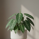 5 Jenis Tanaman Hias yang Lagi Ngetren di 2026