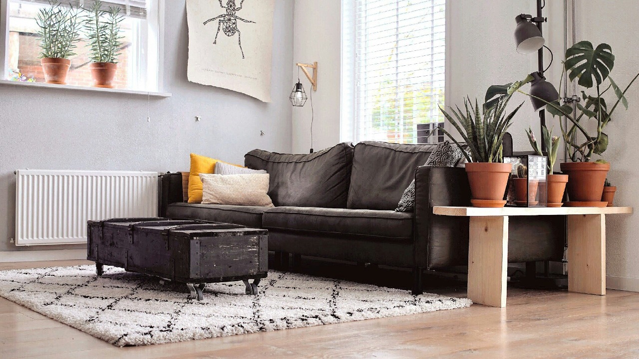 desain rumah green living