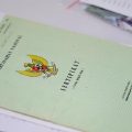Cara Cek NIB Tanah Online dengan Mudah dan Cepat