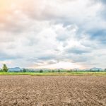 Risiko Membeli Tanah Garapan yang Perlu Diketahui sebelum Investasi