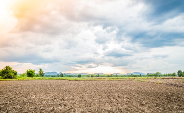 resiko membeli tanah garapan