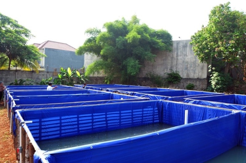 Tarpaulin pool design for large grounds
