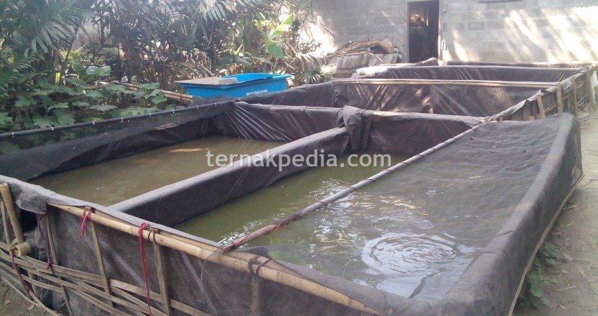 Tarpaulin pools with wooden frame