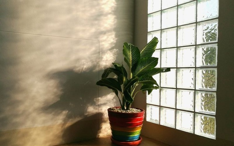 Harga Glass Block Perdus dan Satuan Terbaru 2022 Lengkap!