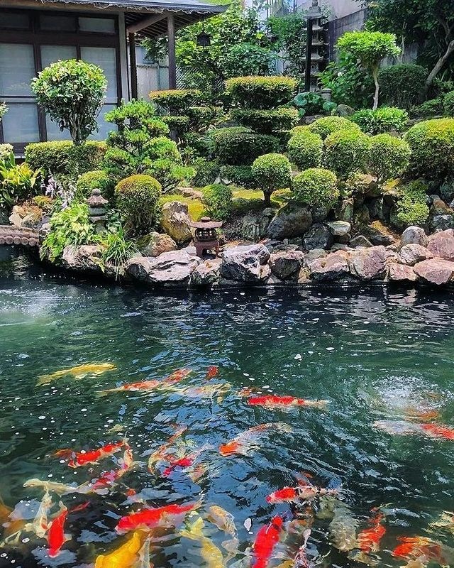 Japanese concept swimming pool