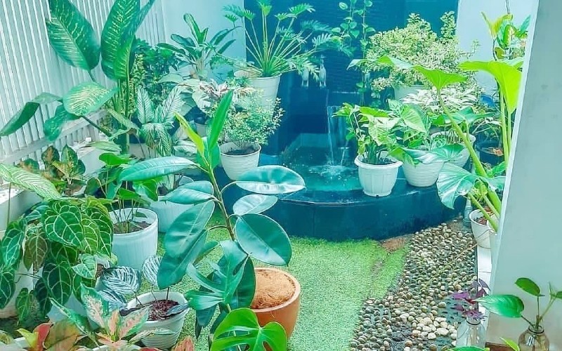 example of a minimalist garden with a fish pond