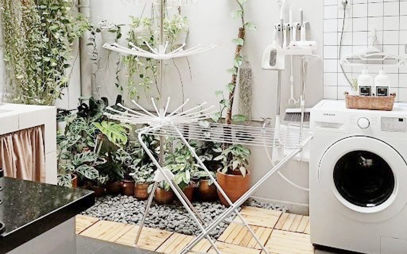 a small subsidized garden with plants hanging on the wall