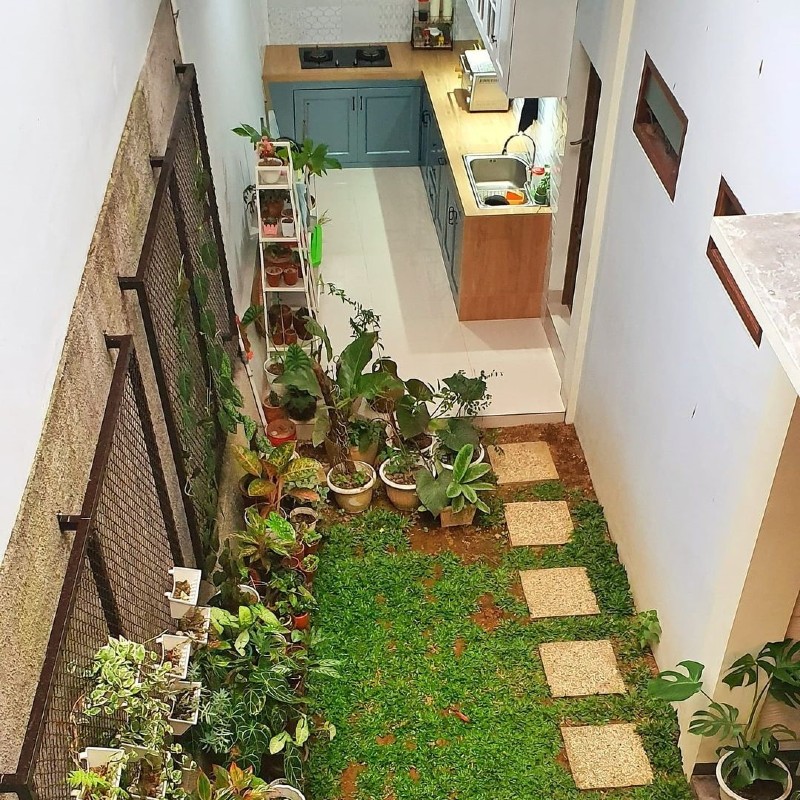 small garden behind the tropical house