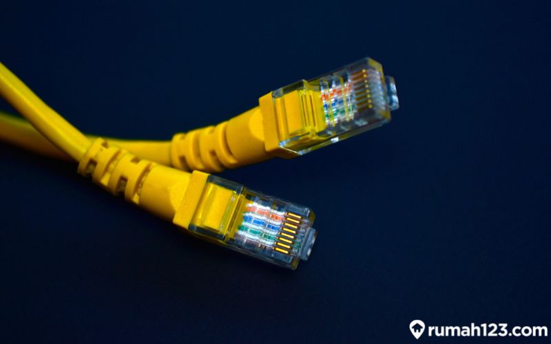 12 Rekomendasi Kabel LAN Terbaik untuk Jaringan Lokal (Terbaru 2022)
