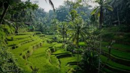 contoh pidato bahasa bali